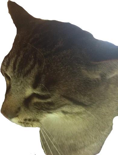 Стикер Вадим-Дебил - 2