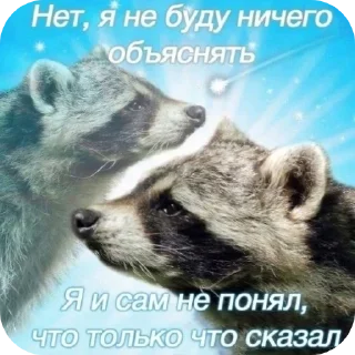 Стикер vadya_forester's fav - 1