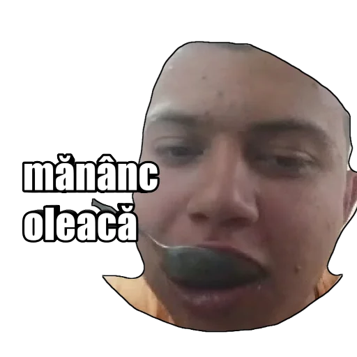 человеческое лицо челюсть лоб