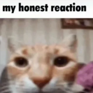 Sticker ваху @artmarabysss - 1