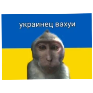 Sticker Вахуи - 2