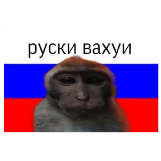 Sticker Вахуи - 10