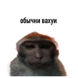 Sticker Вахуи - 0