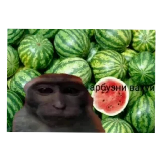 Sticker Вахуи - 8