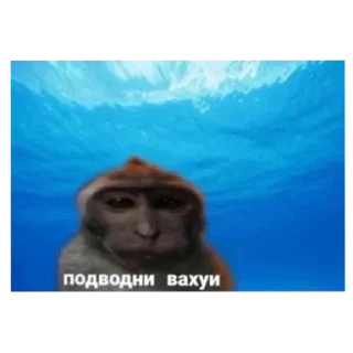 Sticker Вахуи - 11