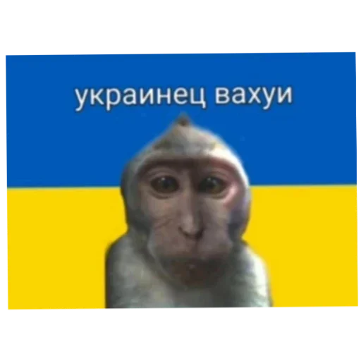 Sticker Vahui666 - 1