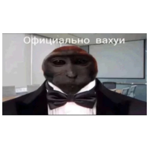 Sticker Vahui666 - 1