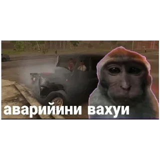 Sticker Вахуи часть первая - 11