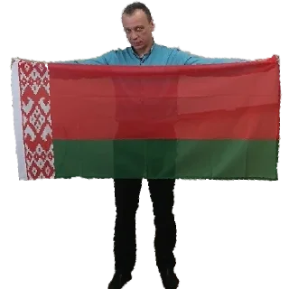 Стикер Vaido-pack - 0