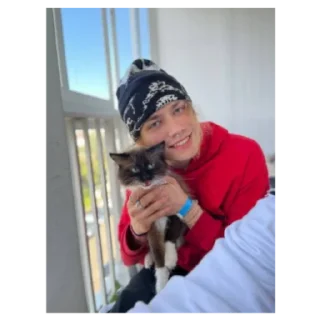 Sticker Вайбовый никитка - 0