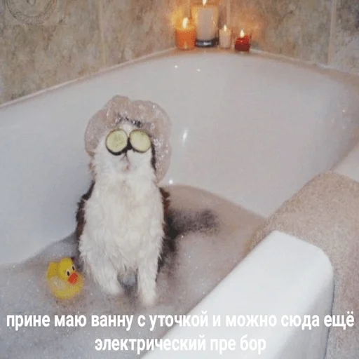 Для важных переговоров - 