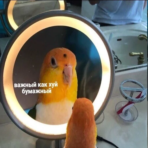 Стикер Для важных переговоров - 10