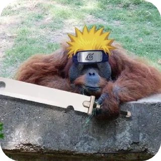 Sticker Вакханалия - 6