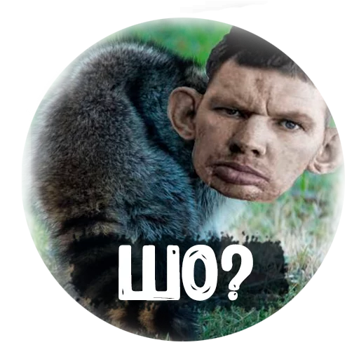 animal mammal human face