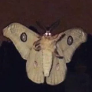 Sticker [|√|•°•Valentino|√|•°•][@Ketsu_ketsu] - 4