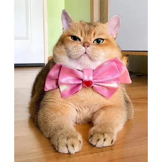 Sticker СуперМегаСтикерпак | @m1khailbr_stickerbot - 10