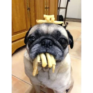 Sticker СуперМегаСтикерпак | @m1khailbr_stickerbot - 1