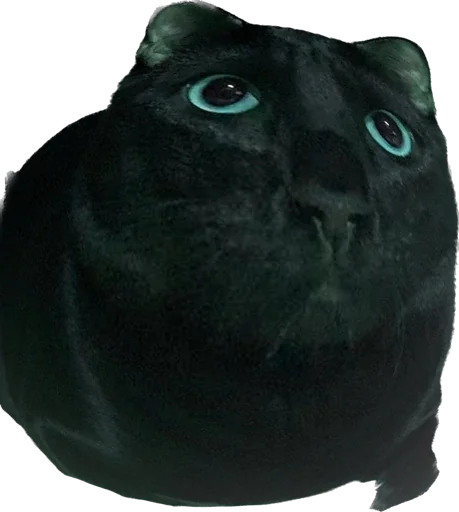 Sticker ValerianTheStickerCat - 1