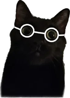 Sticker Valerian The Cat - 4