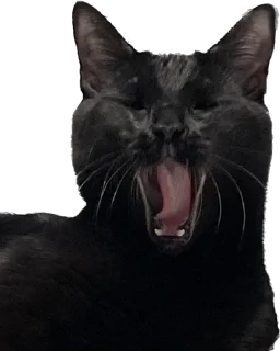 Sticker Valerian The Cat - 1