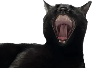 Sticker Valerian The Cat - 9