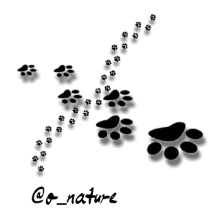 Стикер Valia_Stickers - 11