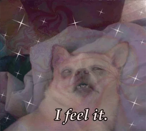 животное млекопитающее собака