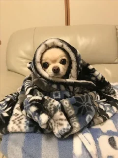 Стикер V A L T | • - 6