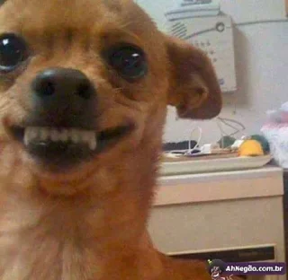 Стикер V A L T | • - 7