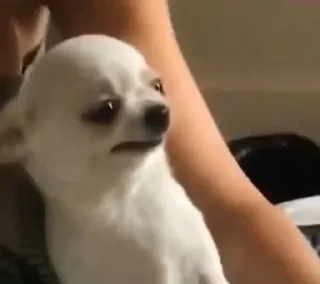 Стикер V A L T | • - 11