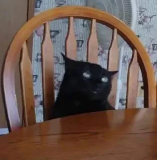 Стикер valya llll - 8