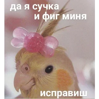 Стикер valya llll - 1