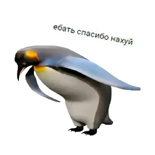 Стикер valya llll - 7