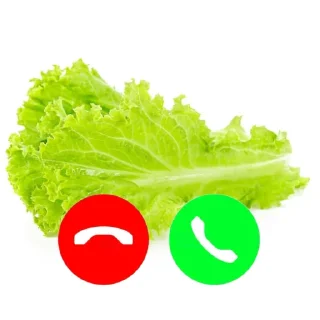 Стикер Вам звонят от @iikwenliX - 10