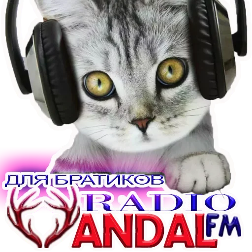 кошка животное кошки малого и среднего размера