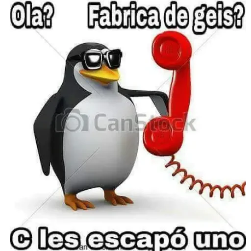 penguin aquatic bird flightless bird