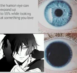 Стикер ✧Vanitas no Carte✧ - 8