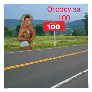 Sticker 20 школа - 5