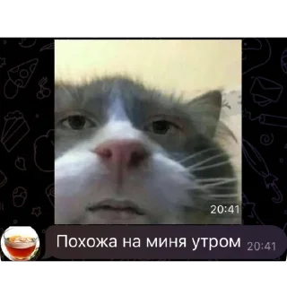 Стикер Иван пю чай 🍵 - 6