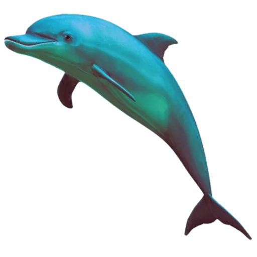 animal mammal aquatic mammal