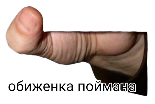 Стикер вас поймали - 6