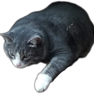 Sticker Вася - 6