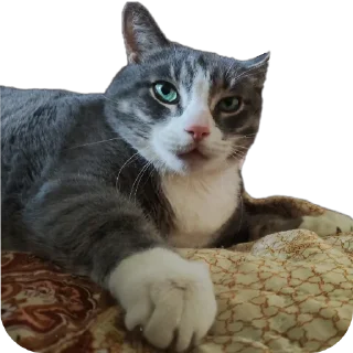 Sticker Вася - 4