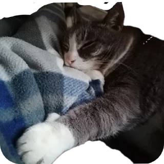 Sticker Вася - 2