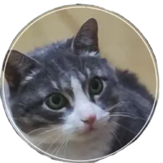 Sticker Вася - 11