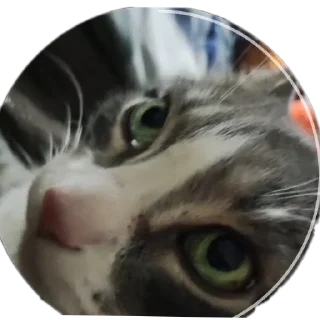 Sticker Вася - 3