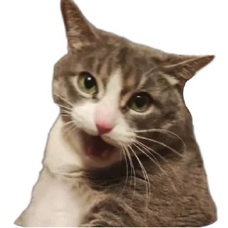 Sticker Вася - 0