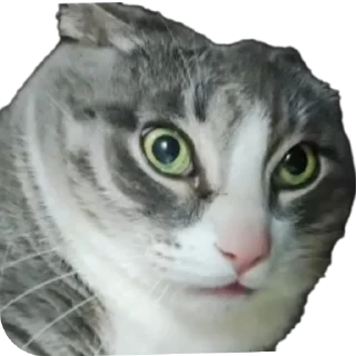 Sticker Вася - 10