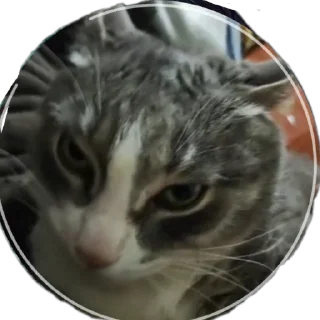 Sticker Вася - 5