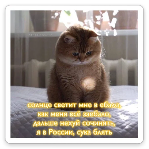 Стикер От Васьки - 9